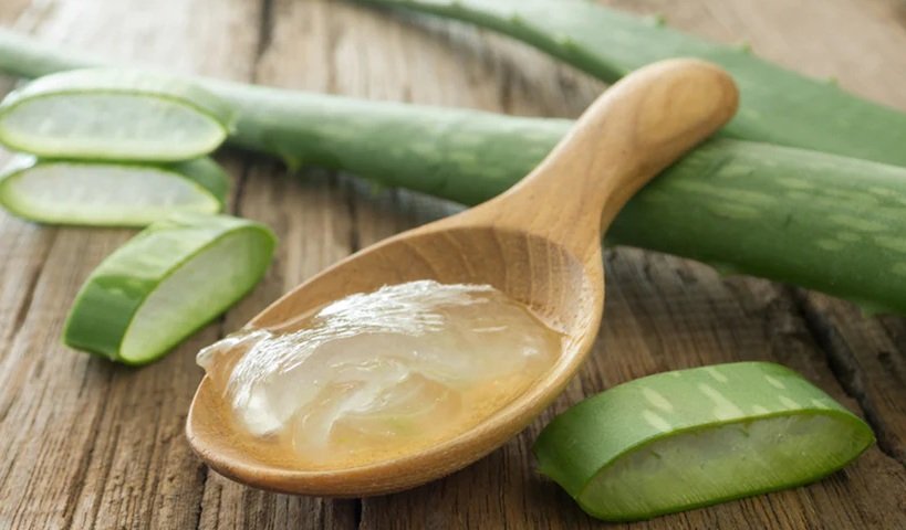 aloe vera benefit